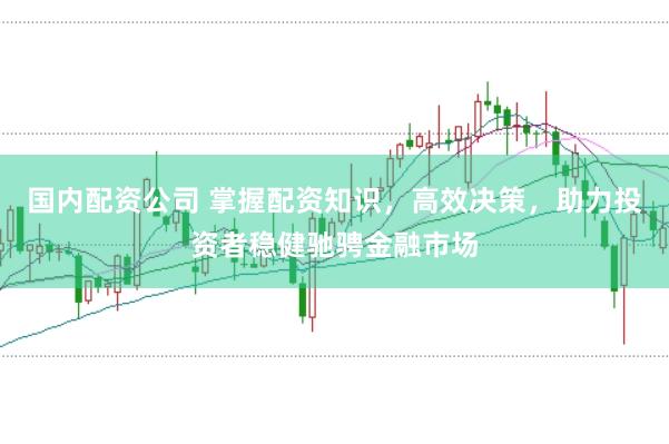 国内配资公司 掌握配资知识，高效决策，助力投资者稳健驰骋金融市场